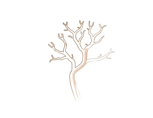 bonsai branch